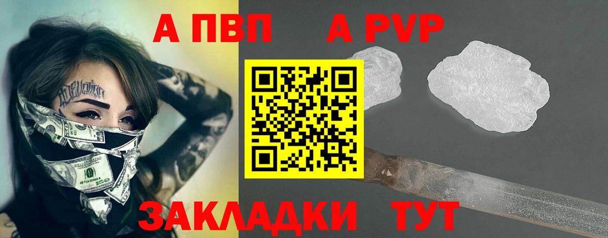 Alfa_PVP СК КРИС Геленджик