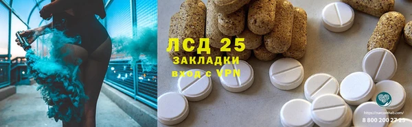 гашик Михайловск