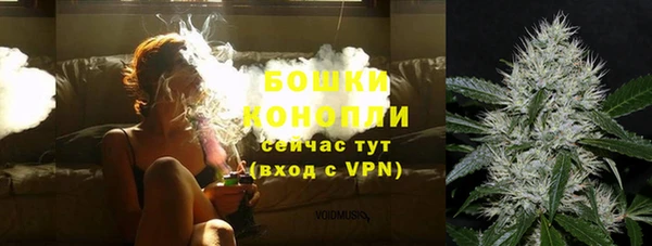 PSILOCYBIN Слюдянка