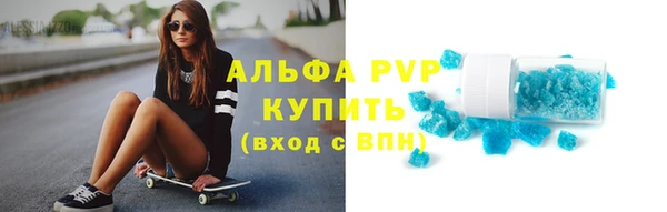 гашик Михайловск