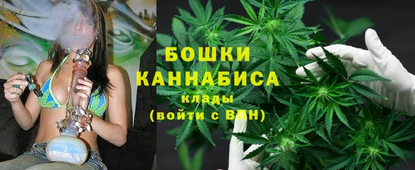 гашик Михайловск