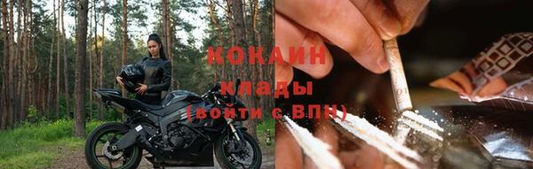 гашик Михайловск