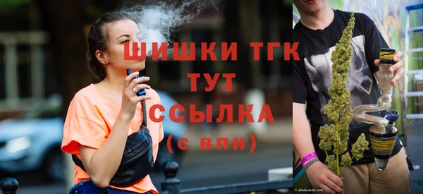 гашик Михайловск