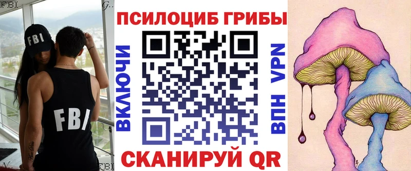 блэк спрут как зайти  Геленджик  Псилоцибиновые грибы GOLDEN TEACHER 
