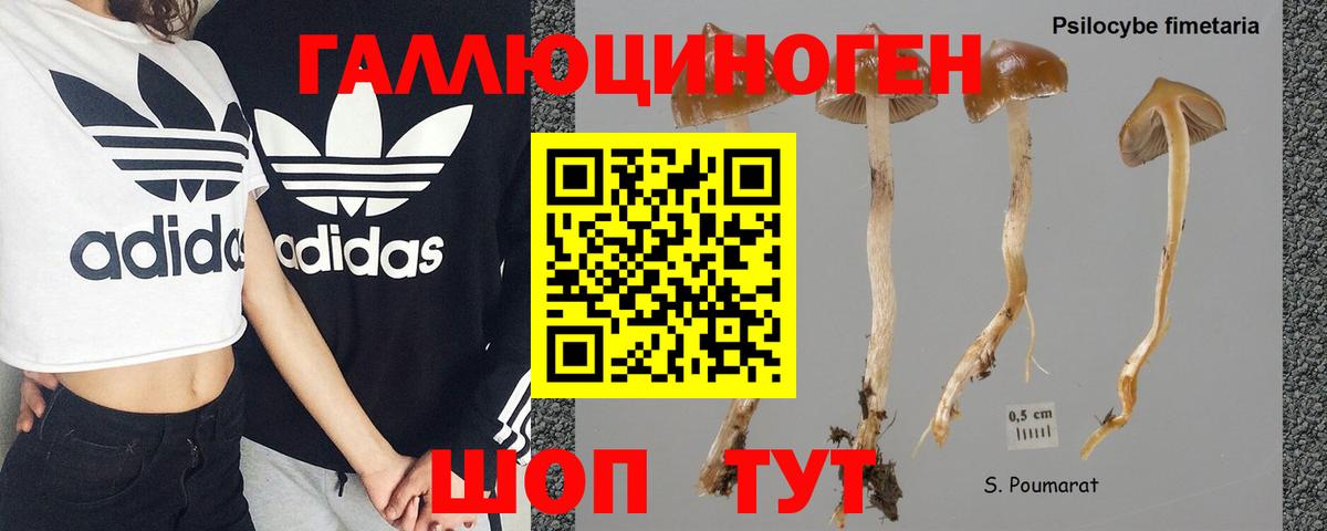 Галлюциногенные грибы Magic Shrooms Геленджик