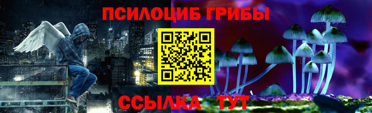 наркотики  Геленджик  Псилоцибиновые грибы GOLDEN TEACHER 