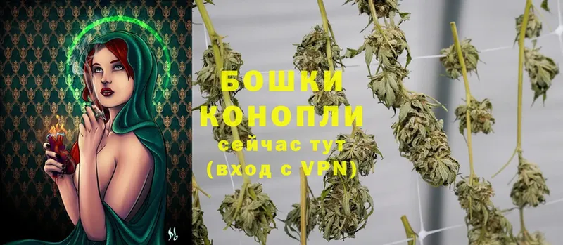 Бошки Шишки Ganja  где купить наркоту  Геленджик 